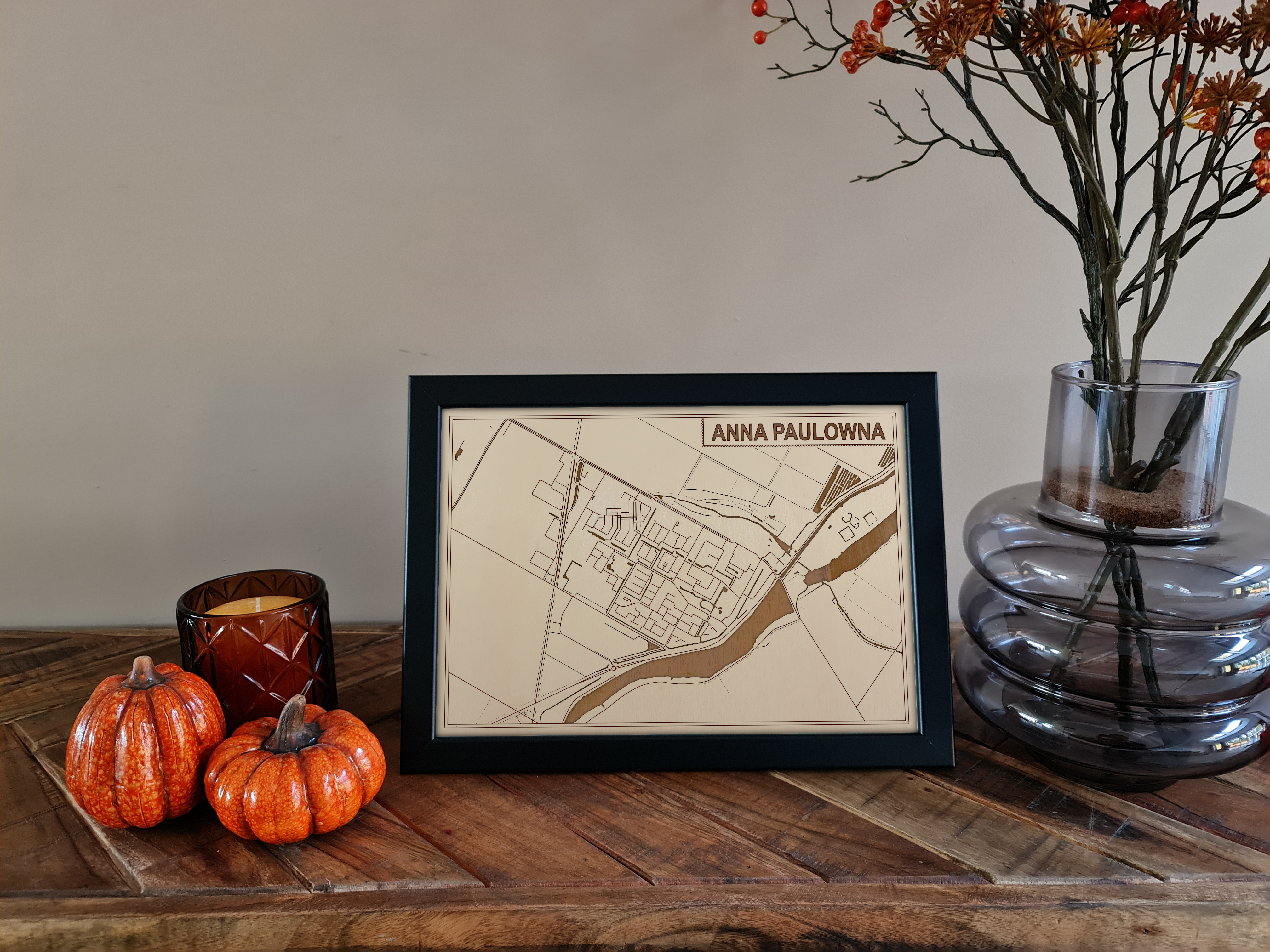 Kaart van Anna Paulowna foto 1